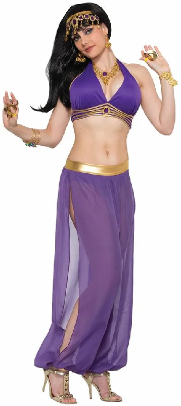 Eco-friendly hemp pants for sustainable clothing choices -Desert Princess Harem Costume Pants Purple Adult Women